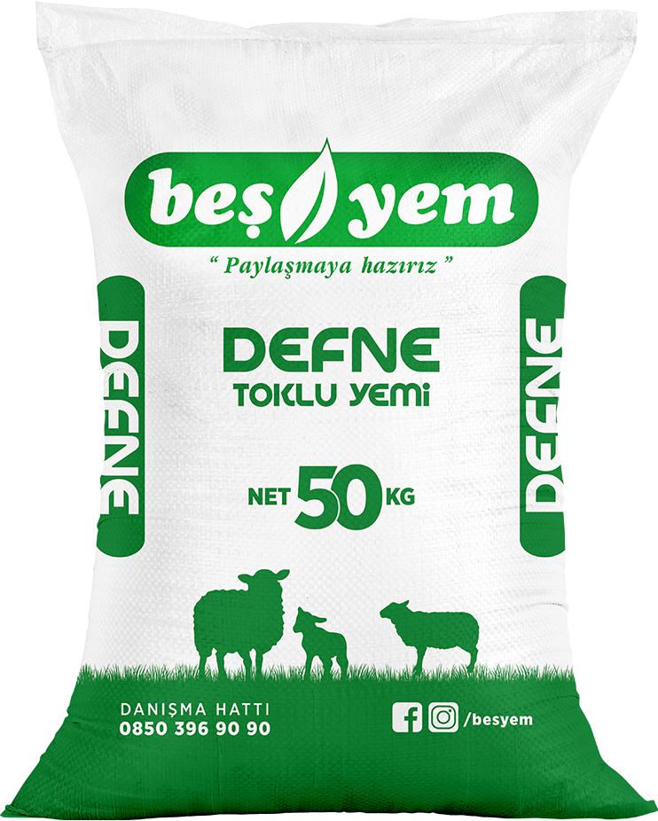 BEŞYEM TARIM HAYVANCILIK GIDA SAN. VE TİC. A.Ş.