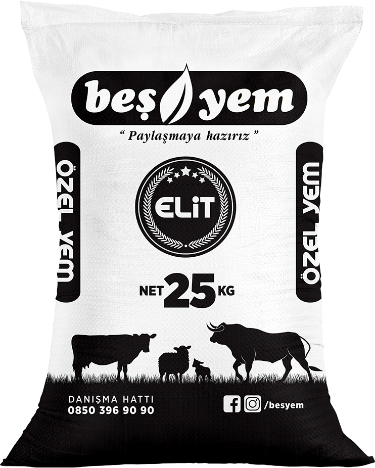 BEŞYEM TARIM HAYVANCILIK GIDA SAN. VE TİC. A.Ş.