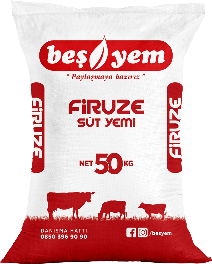 BEŞYEM TARIM HAYVANCILIK GIDA SAN. VE TİC. A.Ş.