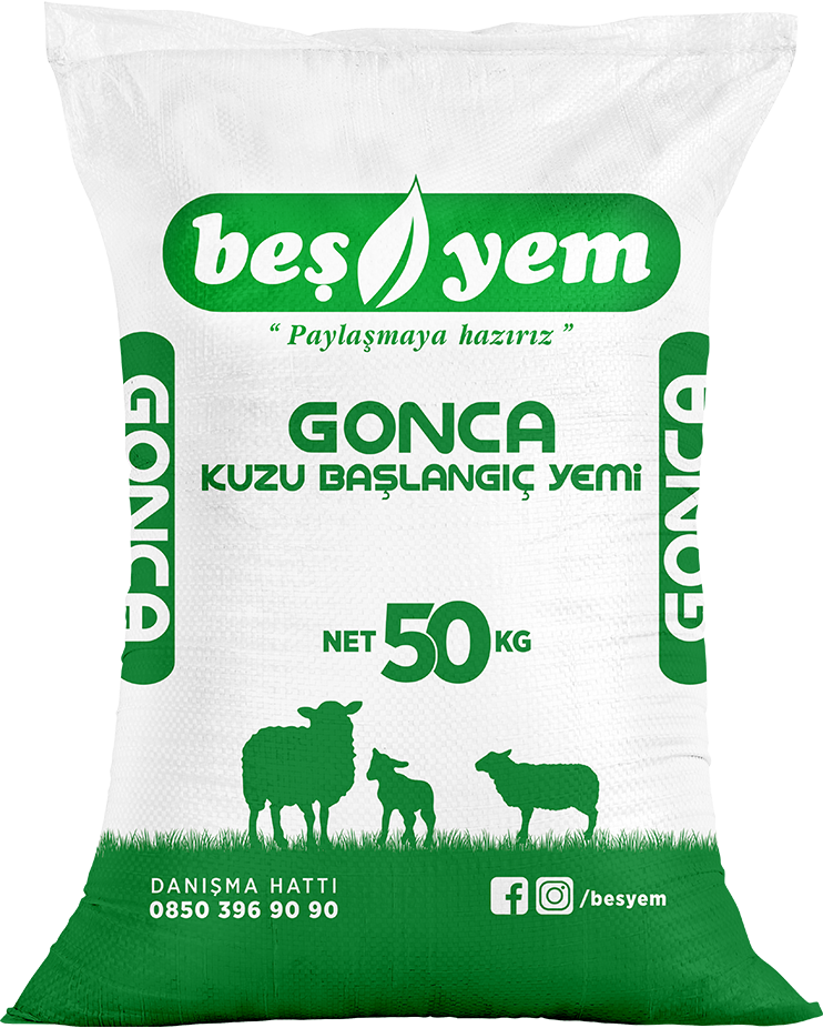 BEŞYEM TARIM HAYVANCILIK GIDA SAN. VE TİC. A.Ş.