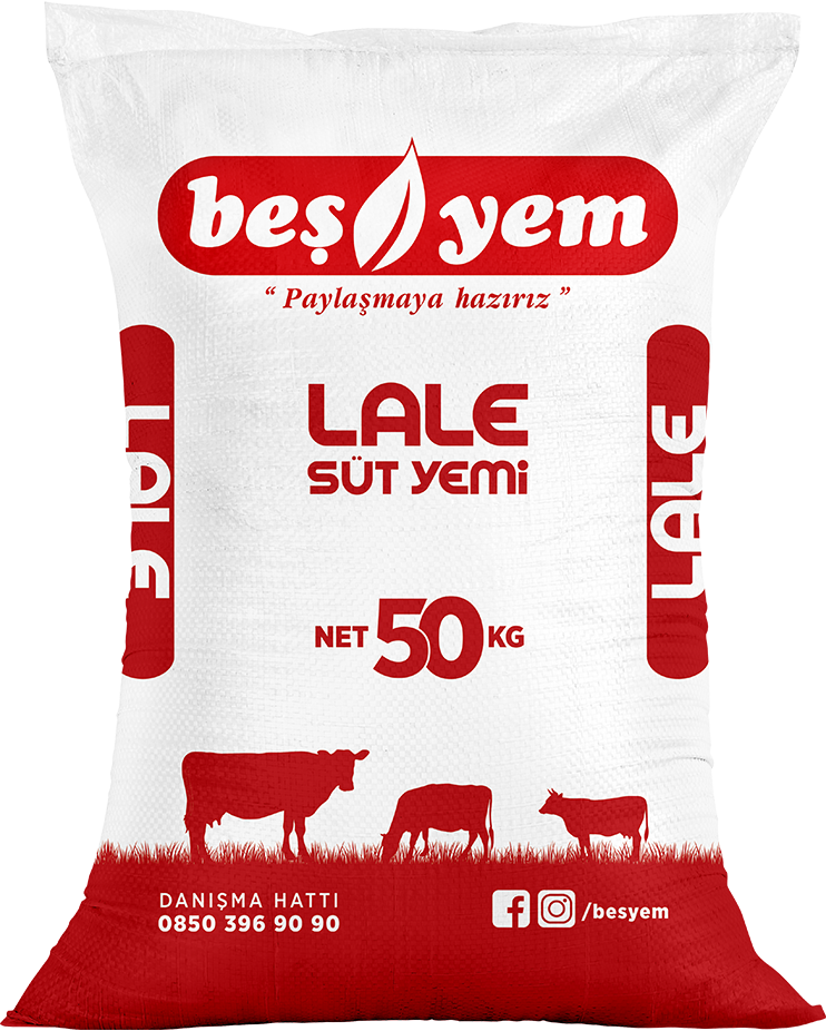 BEŞYEM TARIM HAYVANCILIK GIDA SAN. VE TİC. A.Ş.