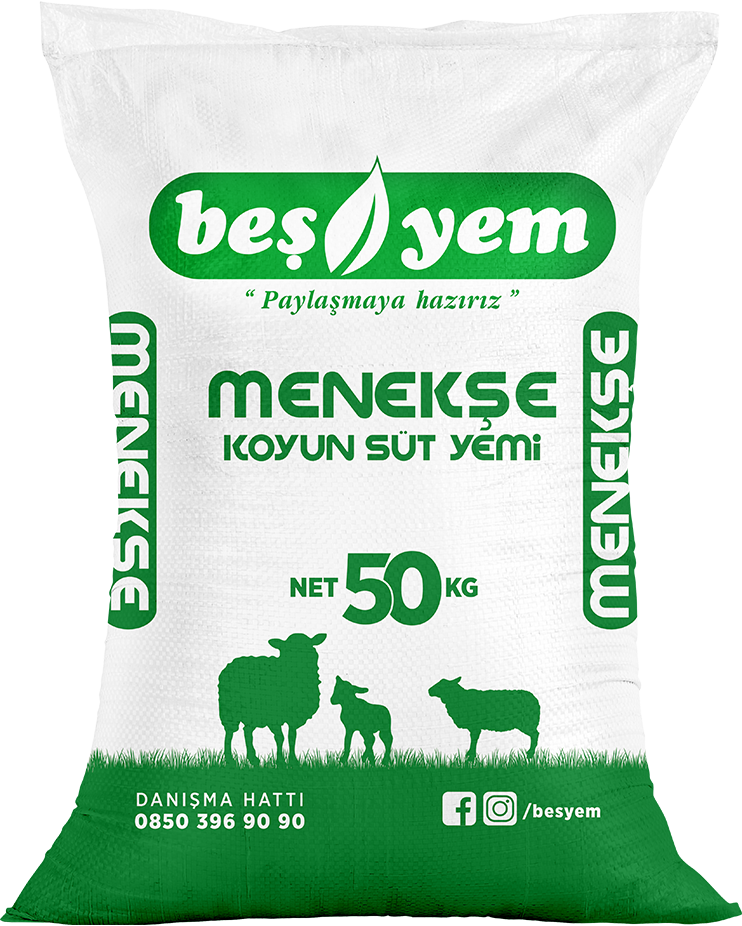 BEŞYEM TARIM HAYVANCILIK GIDA SAN. VE TİC. A.Ş.
