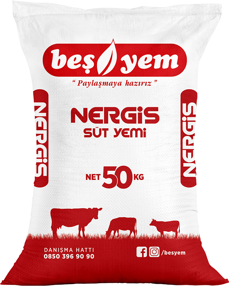 BEŞYEM TARIM HAYVANCILIK GIDA SAN. VE TİC. A.Ş.