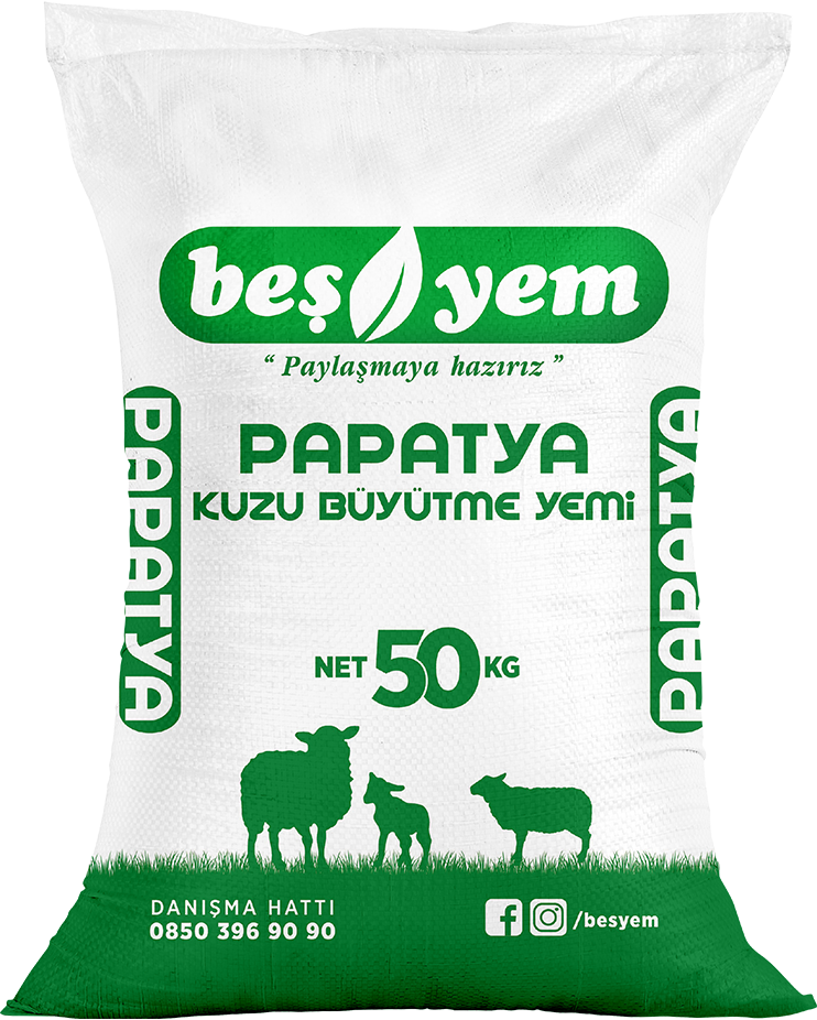 BEŞYEM TARIM HAYVANCILIK GIDA SAN. VE TİC. A.Ş.